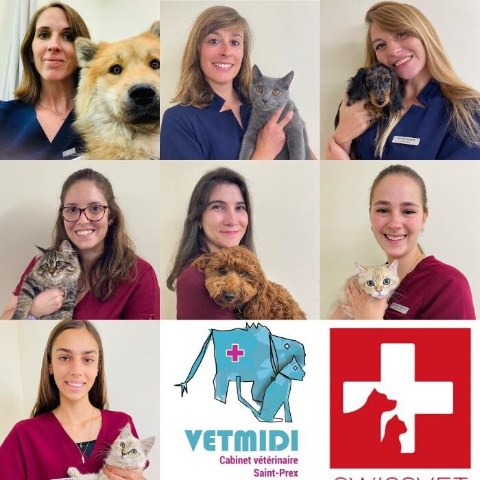 Bilder VETMIDI St Prex - Cabinet vétérinaire