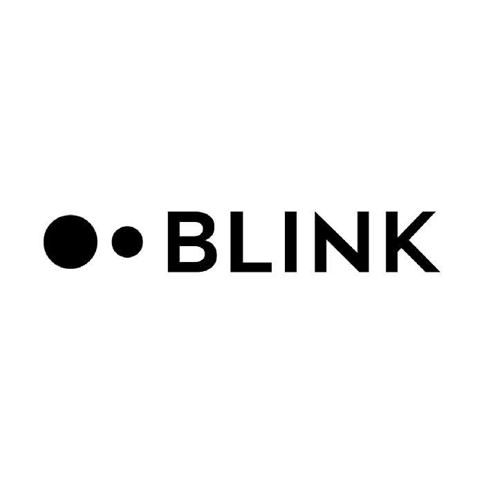 BLINK Fahrschule Luzern Logo