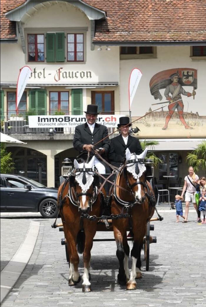 Bilder Reitstall Bühl