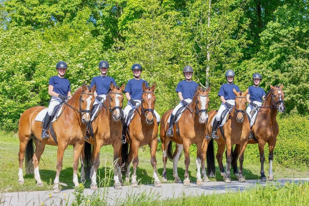 Bilder Reitstall Bühl