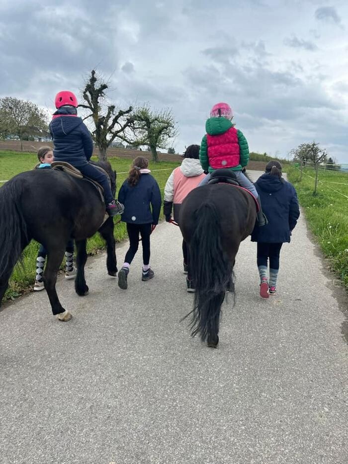 Bilder Reitstall Bühl