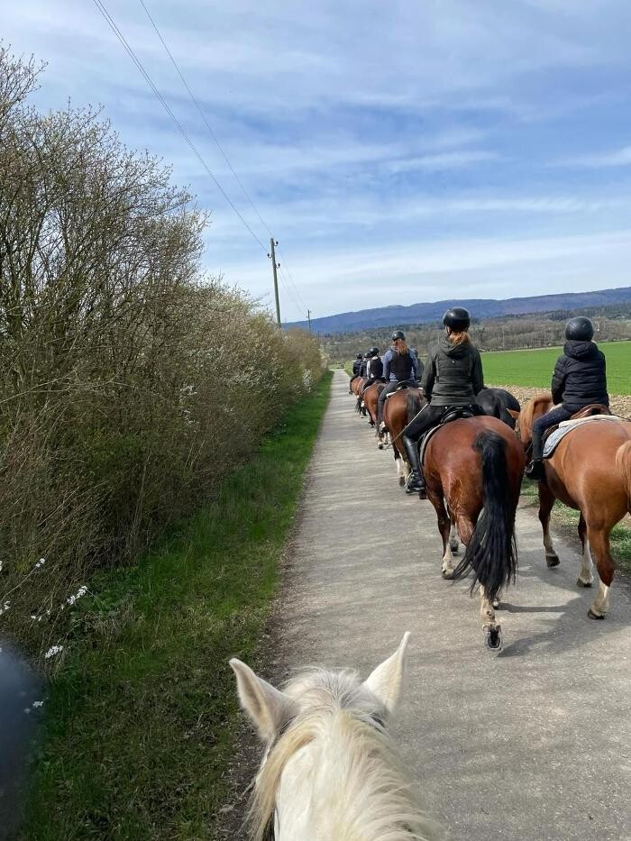 Bilder Reitstall Bühl