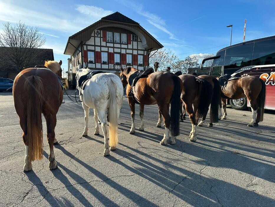 Bilder Reitstall Bühl