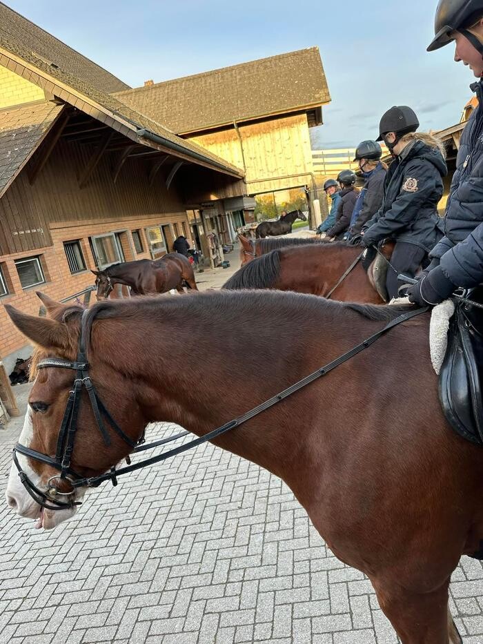 Bilder Reitstall Bühl