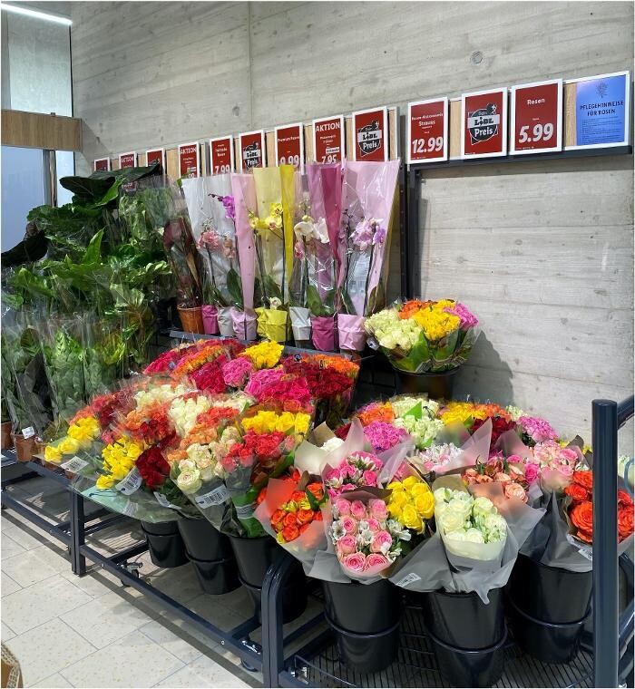 Bilder Lidl Schweiz