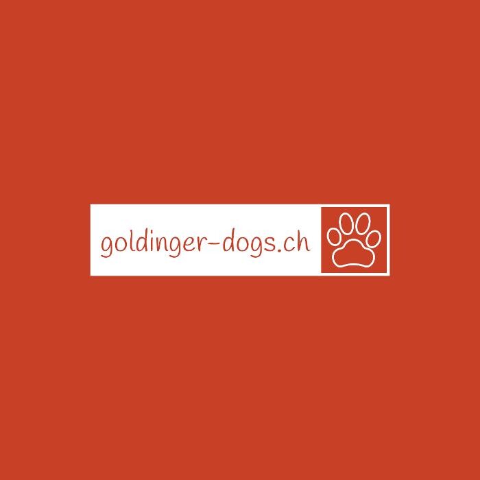 Bilder goldinger-docs