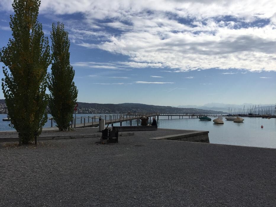 Bilder SEO Freelancer Agentur Zürich | Timo Specht