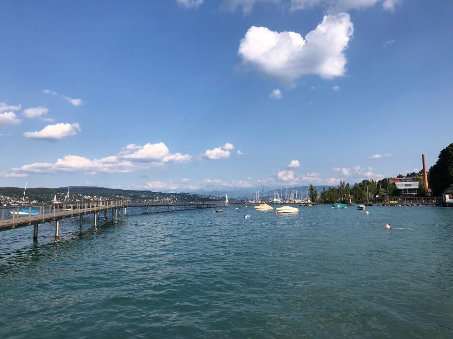 Bilder SEO Freelancer Agentur Zürich | Timo Specht