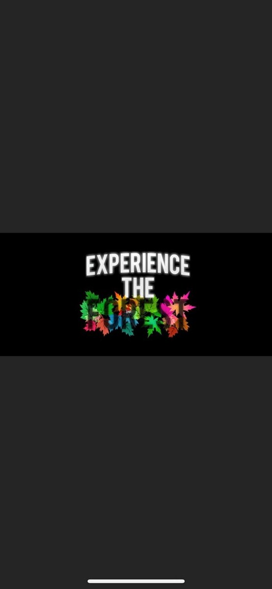 Bilder Experience The Forest Inhaber Marco Kuhn