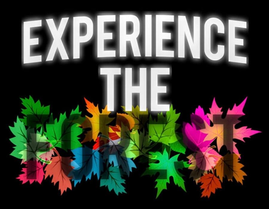Experience The Forest Inhaber Marco Kuhn Logo