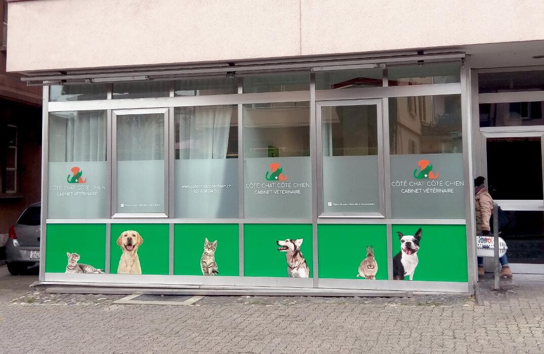 Bilder Côté Chat Côté Chien - Cabinet vétérinaire