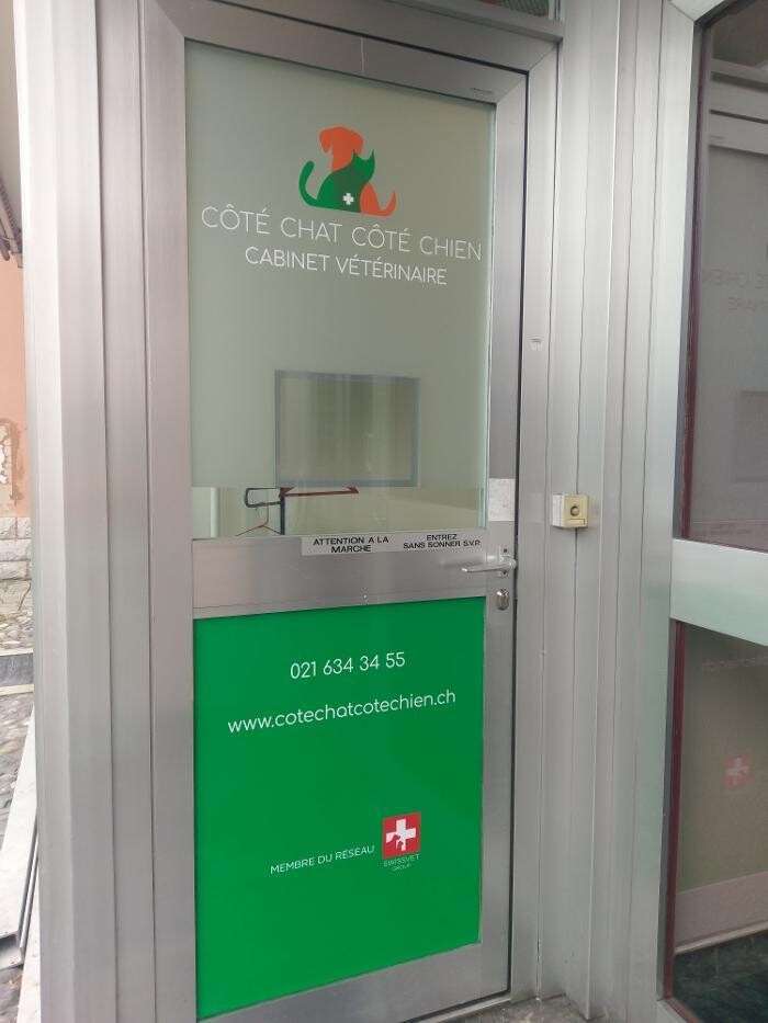 Bilder Côté Chat Côté Chien - Cabinet vétérinaire