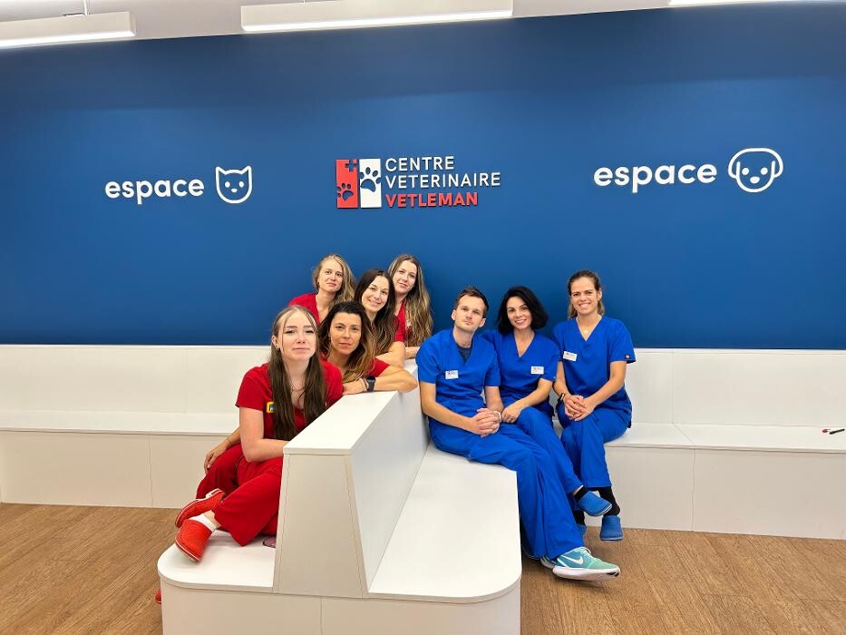 Bilder VETLÉMAN - Centre Vétérinaire