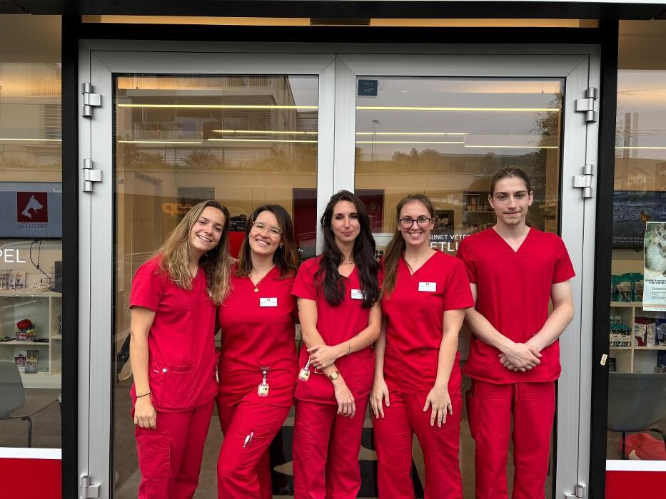 Bilder VETLUTRY - Cabinet vétérinaire