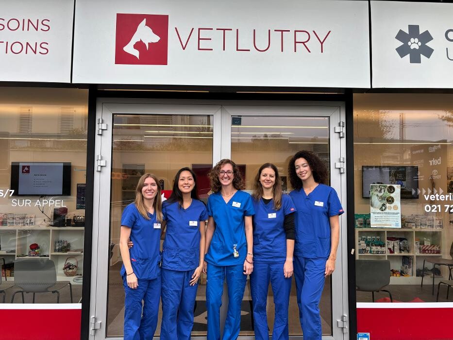 Bilder VETLUTRY - Cabinet vétérinaire