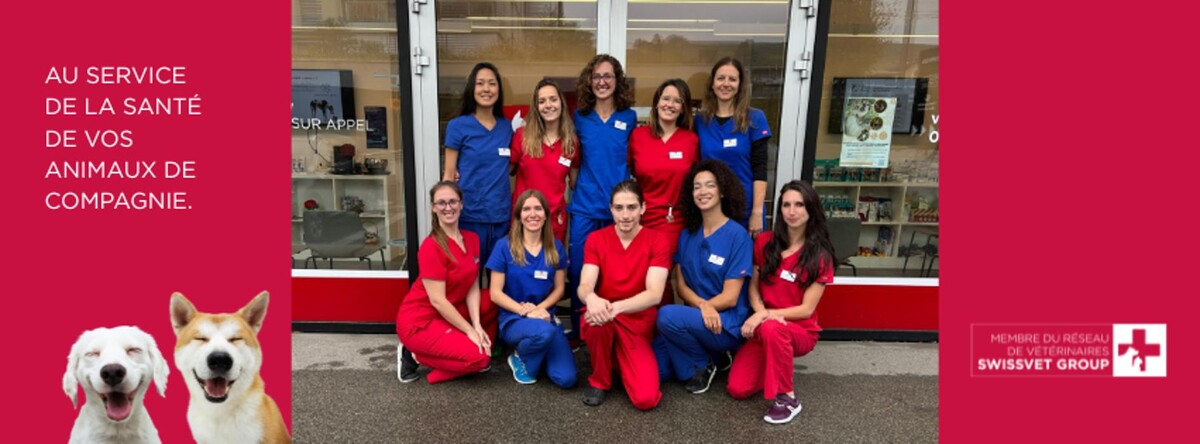 Bilder VETLUTRY - Cabinet vétérinaire