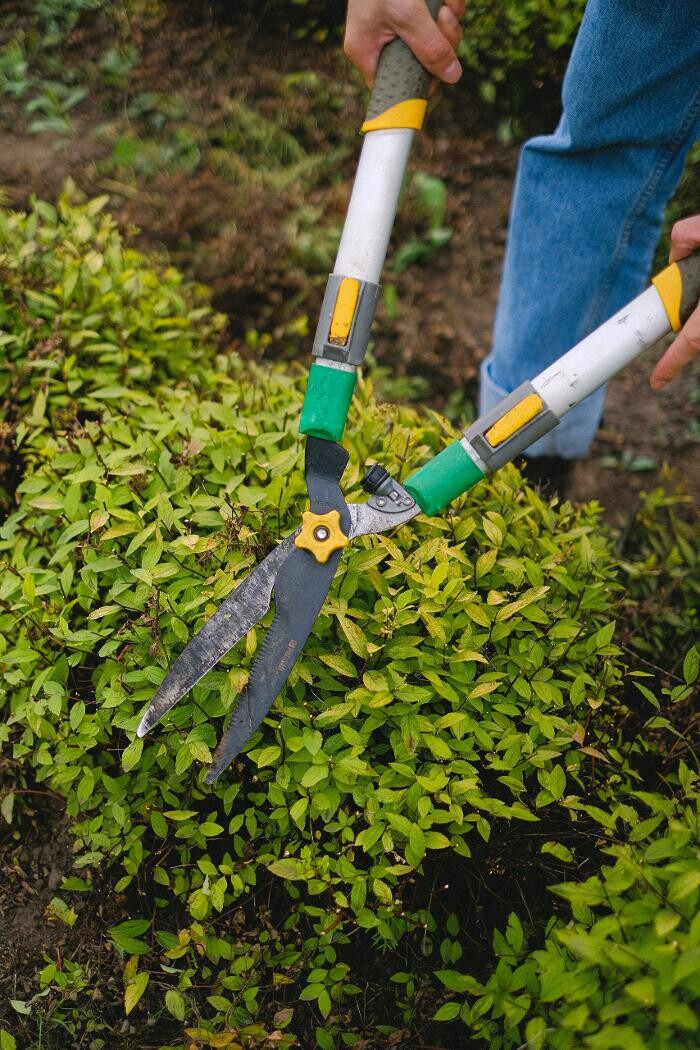 Bilder Matt-Garten