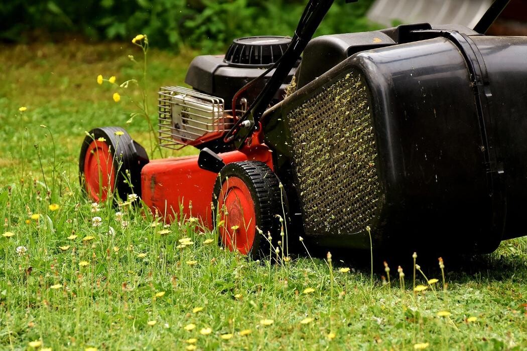 Bilder Matt-Garten