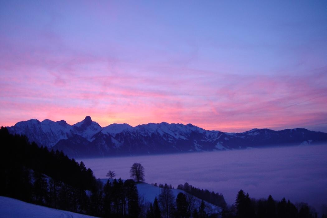 Bilder Bauernvereinigung Thun