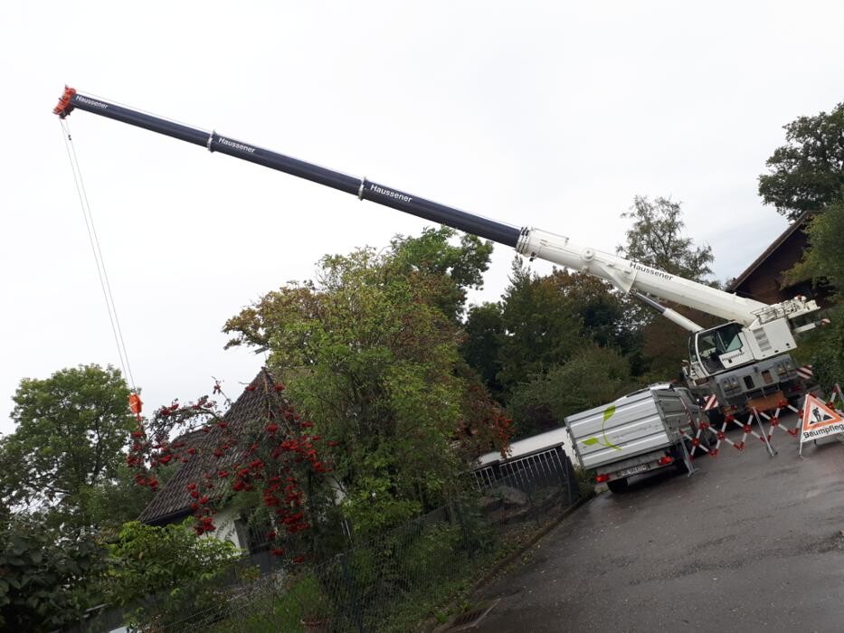 Bilder Haussener Kran und Transport GmbH