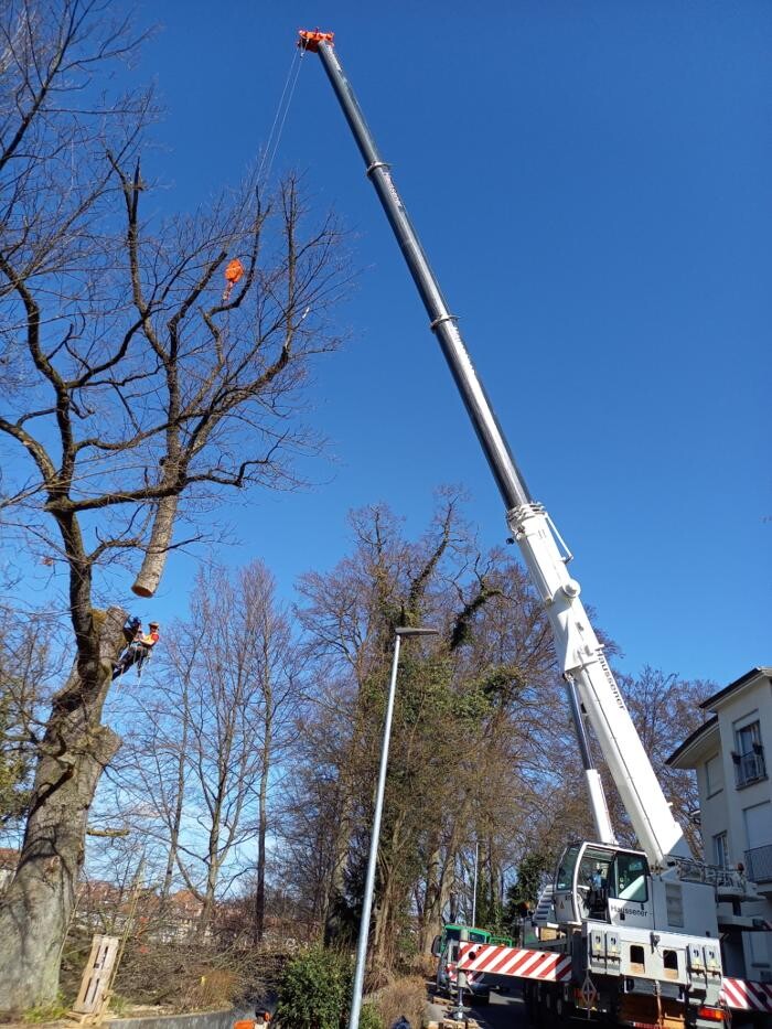 Bilder Haussener Kran und Transport GmbH