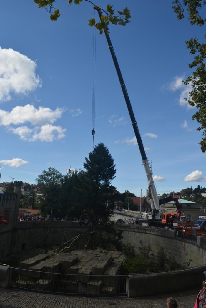 Bilder Haussener Kran und Transport GmbH