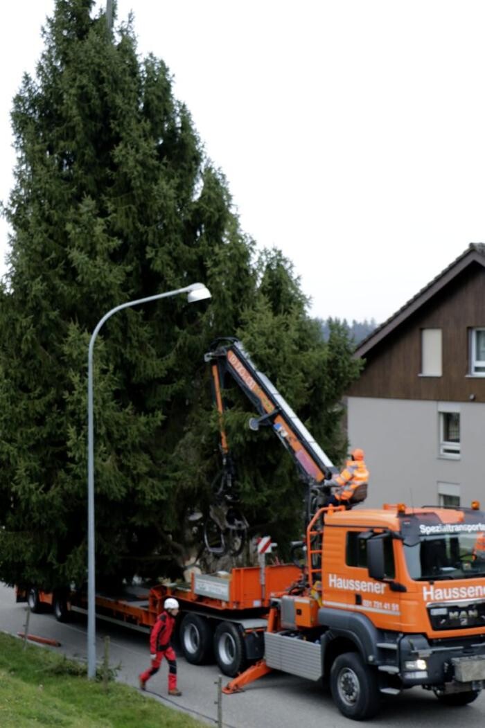 Bilder Haussener Kran und Transport GmbH