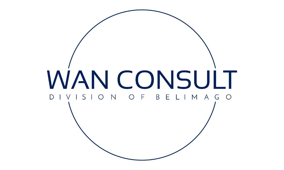 WAN Consult Logo