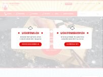 Website Screenshot Uchitomi SA