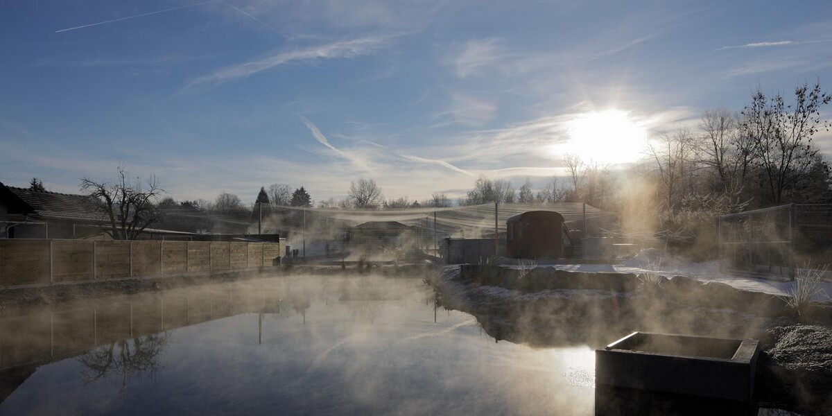 Bilder Rubigenhof Fischzucht AG