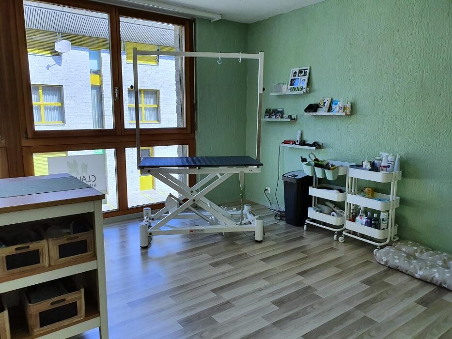 Bilder Claudi`s Hundesalon
