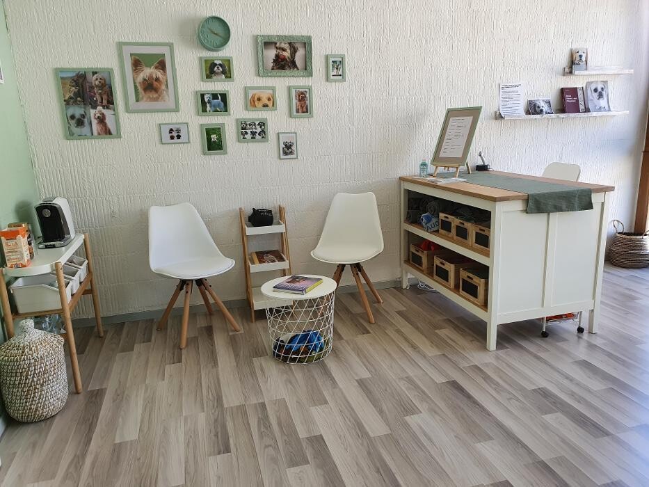 Bilder Claudi`s Hundesalon