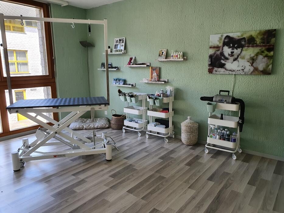 Bilder Claudi`s Hundesalon