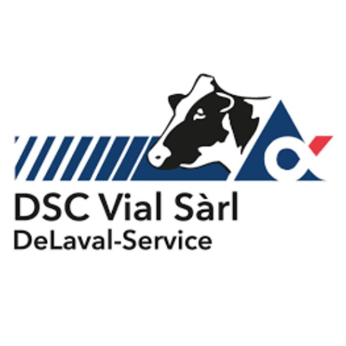 DSC Vial Sàrl Logo