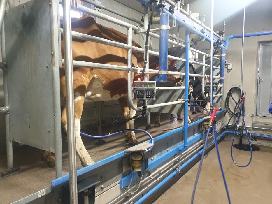 Bilder DSC Vial Sàrl