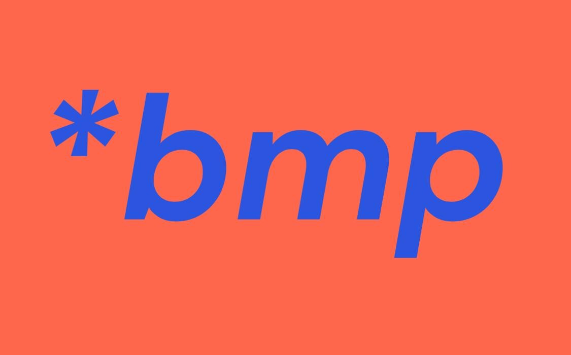 Berner Marketingplanung Logo