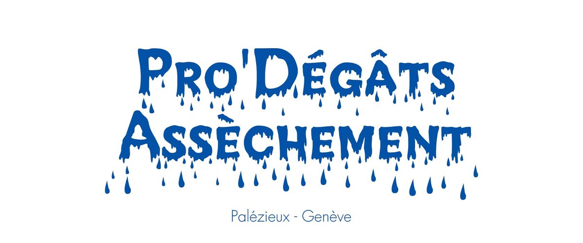 Pro'Dégâts Assèchement Sàrl Logo