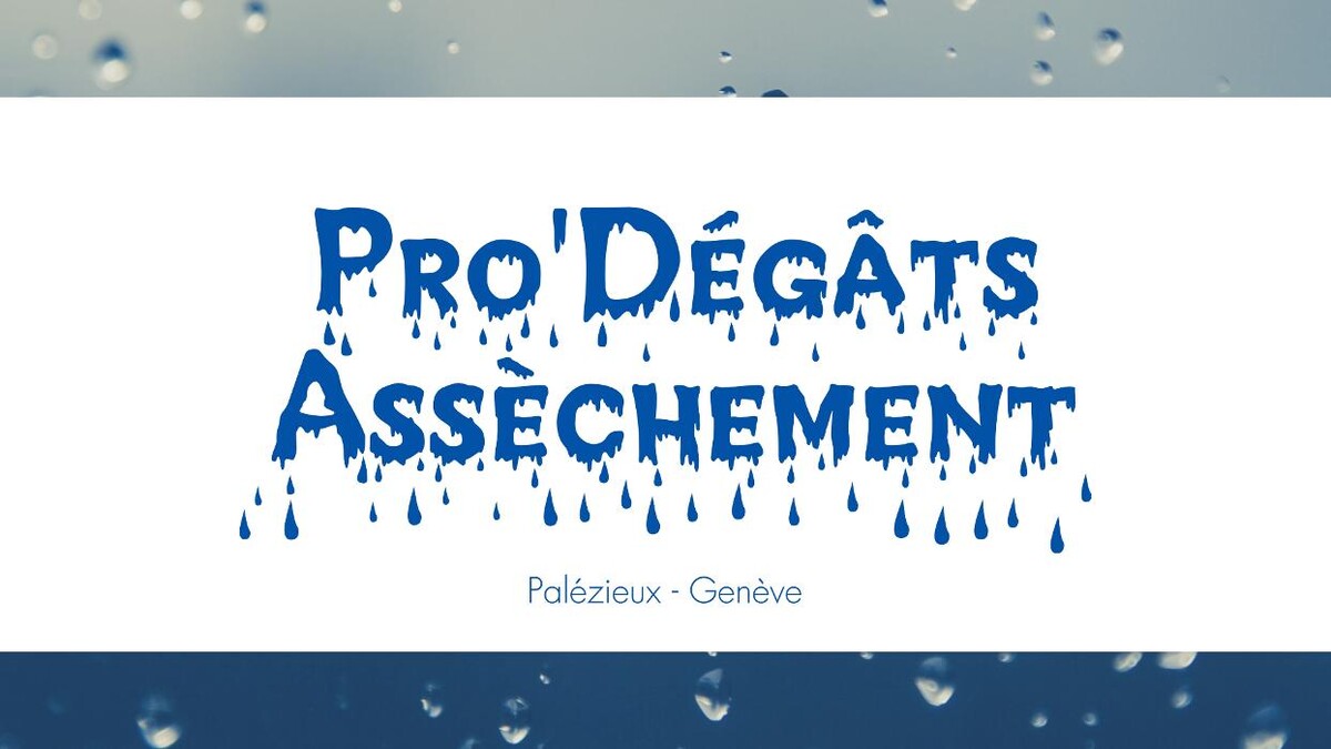 Bilder Pro'Dégâts Assèchement Sàrl