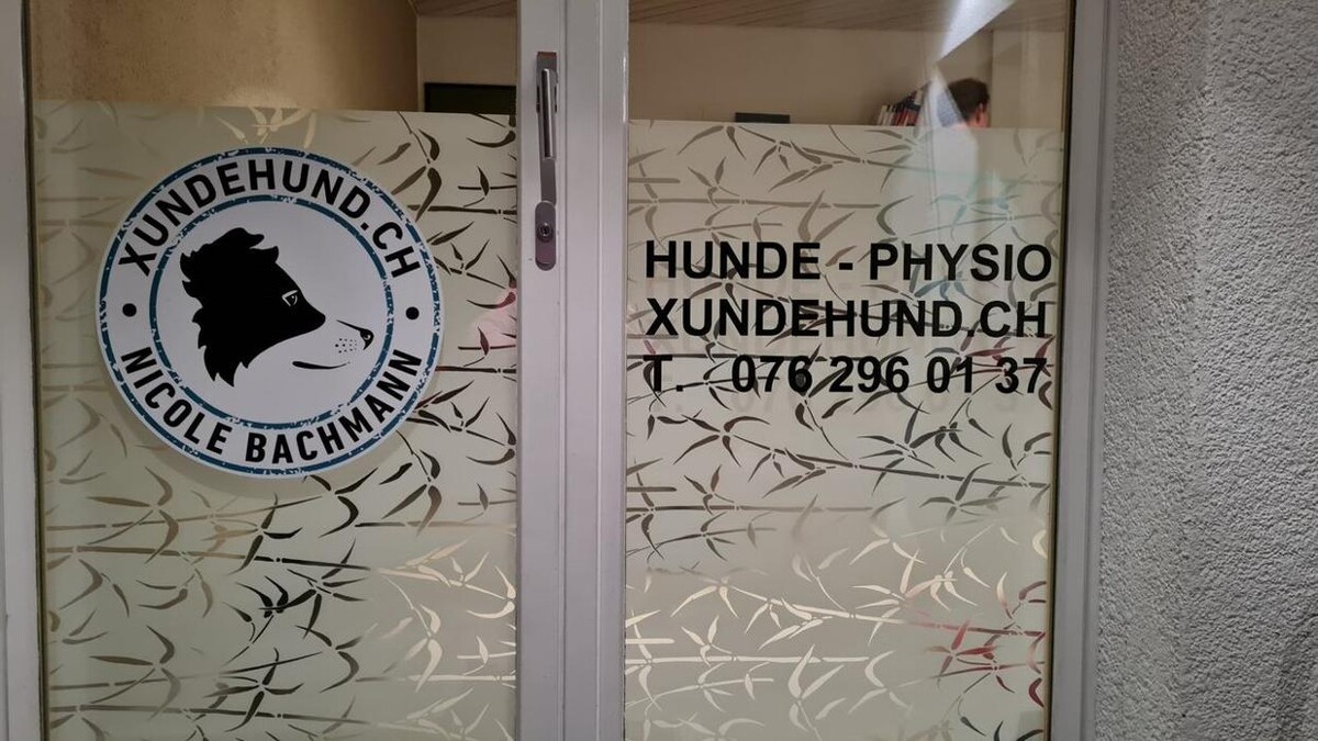 Bilder xundehund.ch