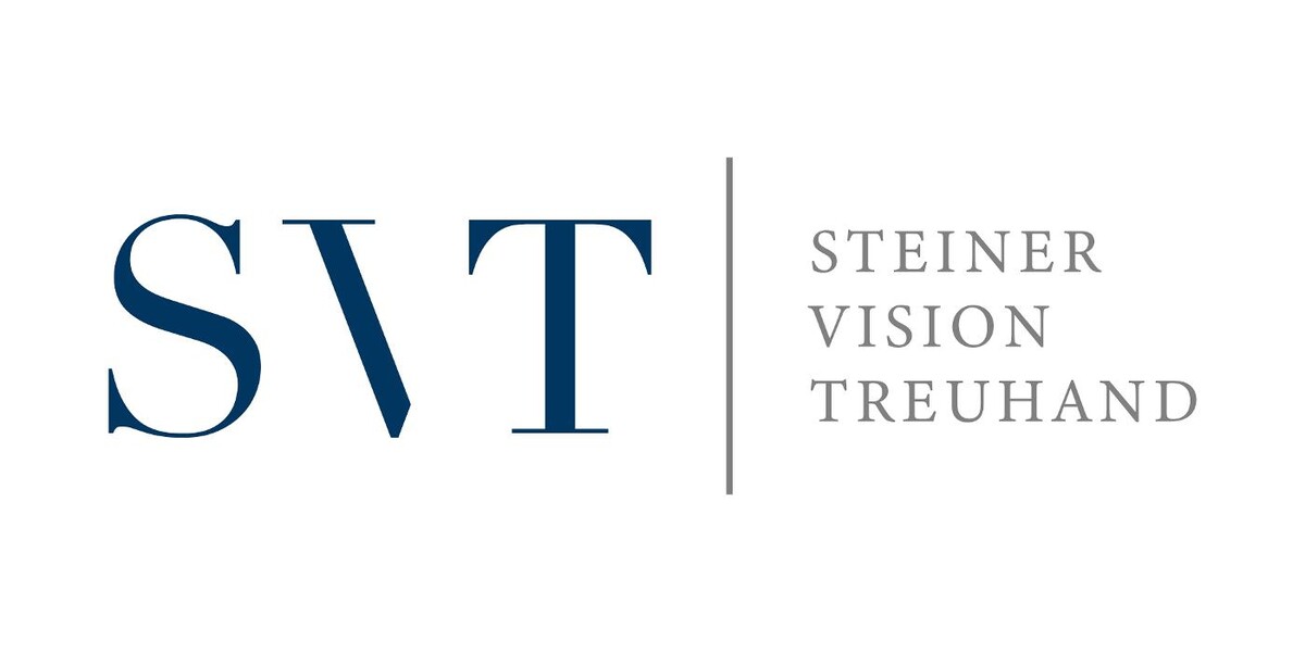 Steiner Vision Treuhand Logo