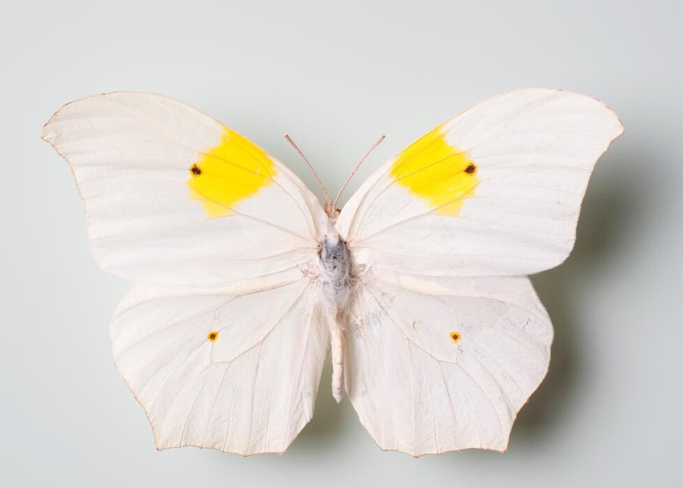 Bilder Naturhistorisches Museum Bern