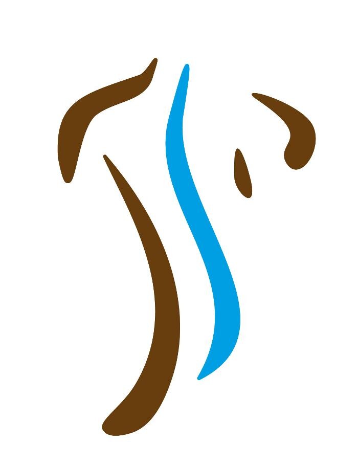 Pro Chiropraktik Luzern Logo