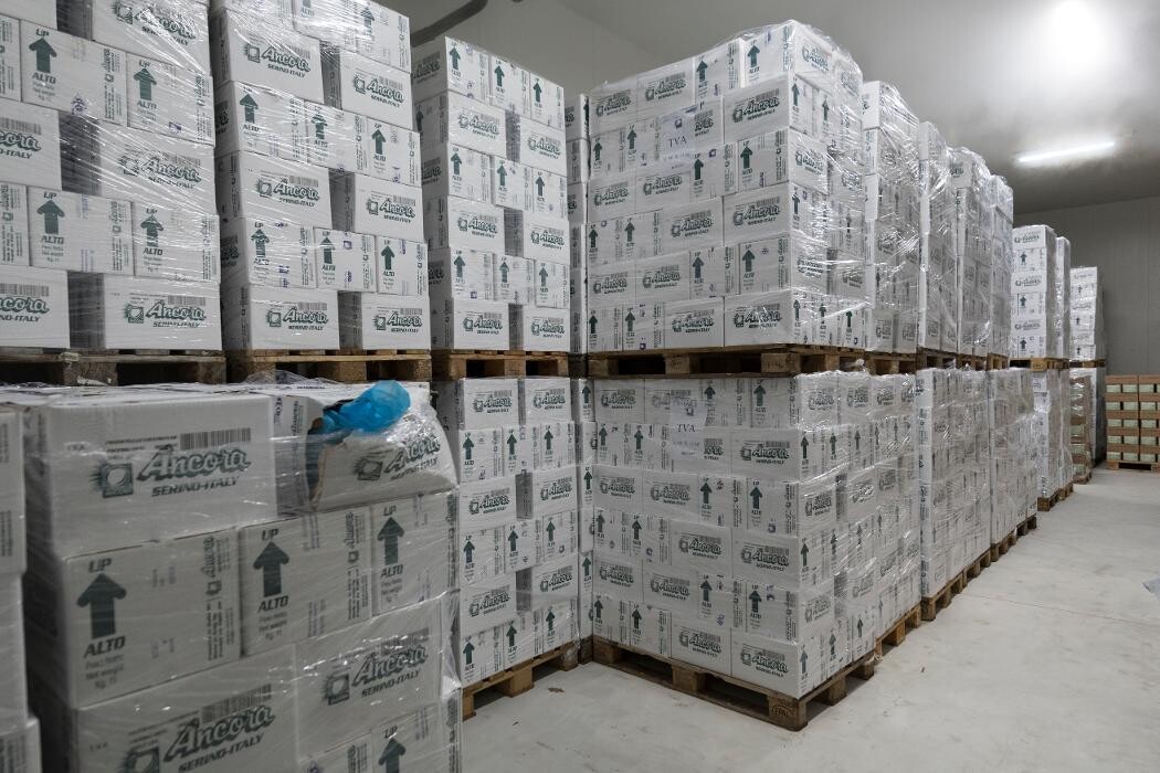 Bilder Vermicelles Brand AG