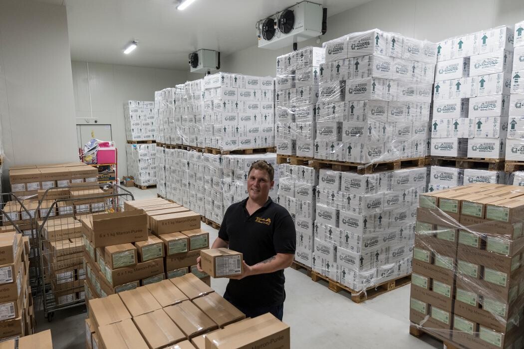 Bilder Vermicelles Brand AG