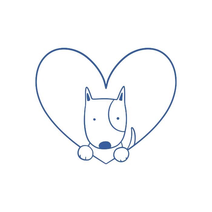 Bilder Weisse Hundetrainig