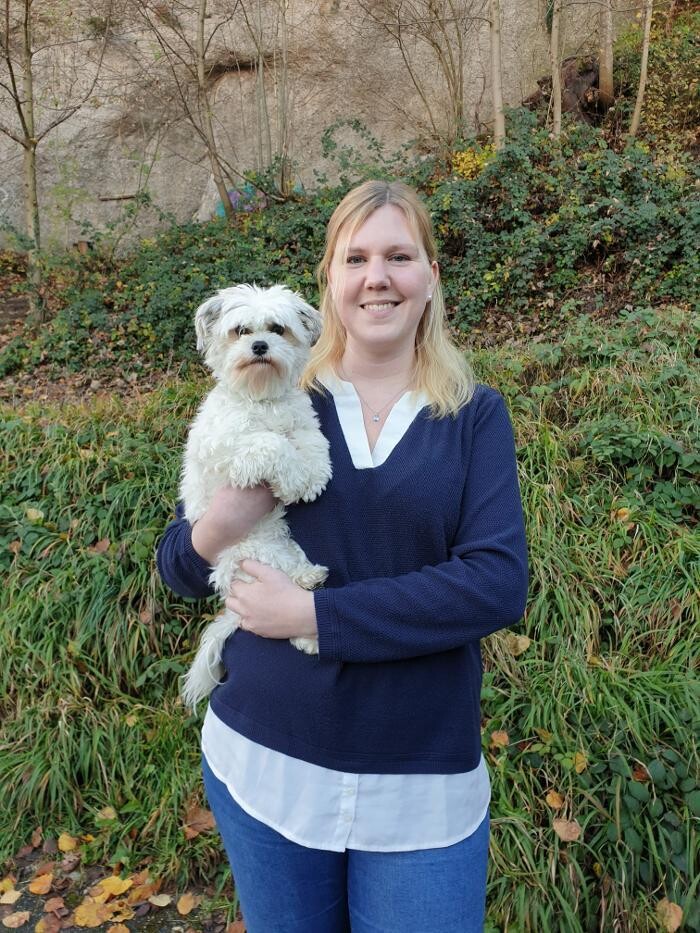 Bilder Weisse Hundetrainig
