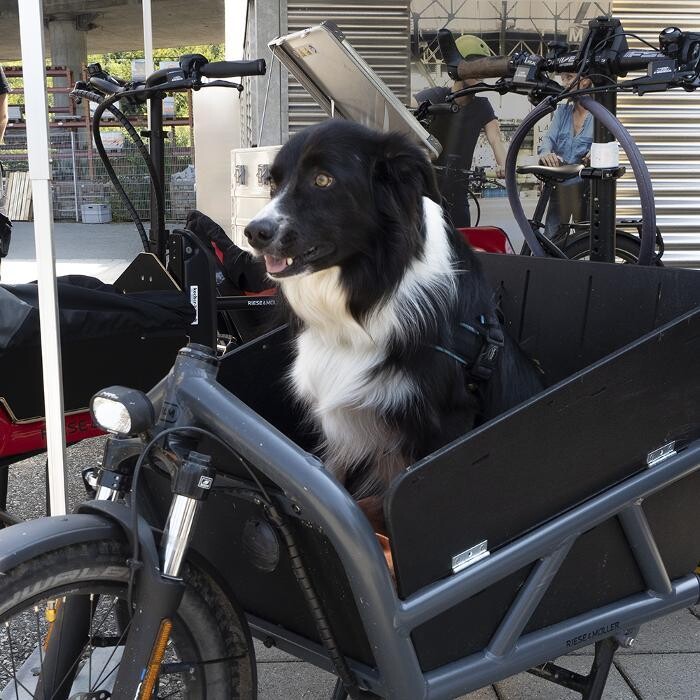 Bilder Kocher Bike Bern | Riese & Müller Erlebnis-Store | Verkauf & Service