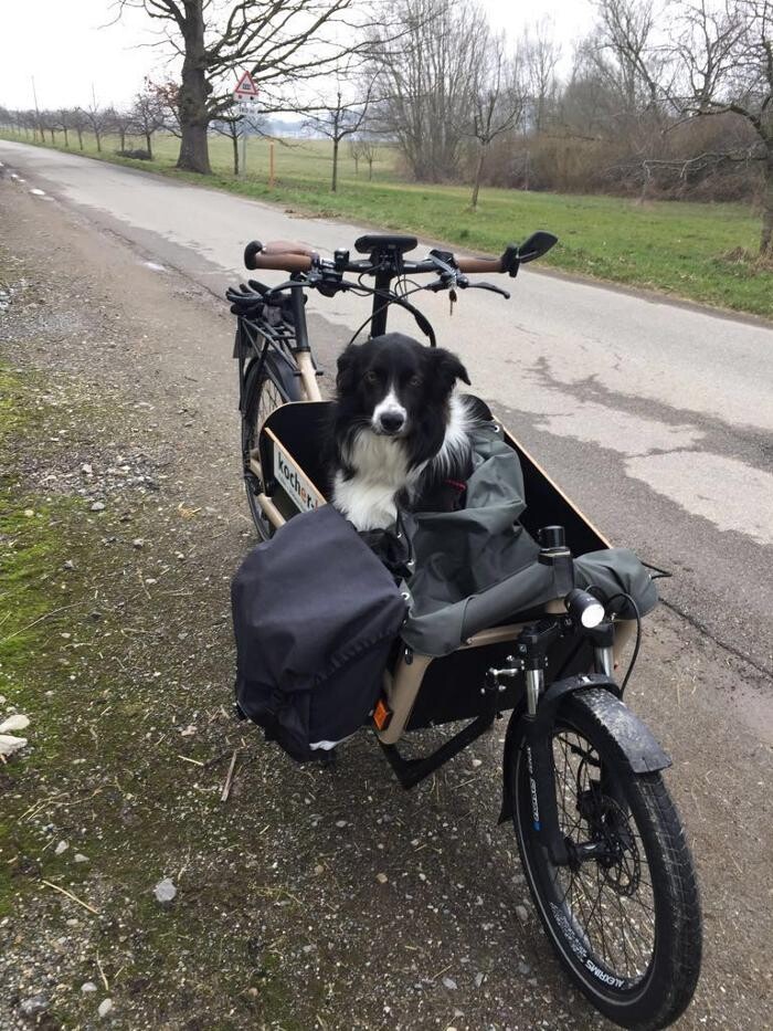 Bilder Kocher Bike Bern | Riese & Müller Erlebnis-Store | Verkauf & Service