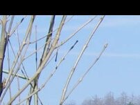 Website Screenshot Müller Torbau Müller Metallbau