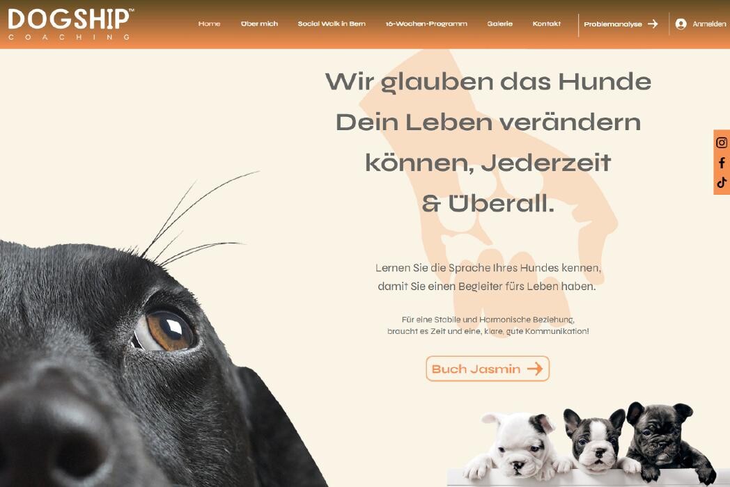 Bilder Empire Solution